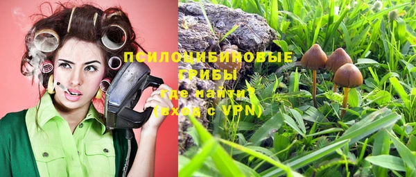 бутират Алзамай