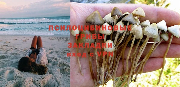 PSILOCYBIN Алексеевка
