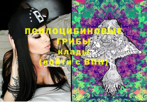 PSILOCYBIN Алексеевка